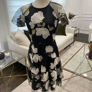 Tahsen Embroidered Fit and Flare Dress